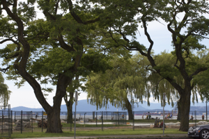 Kitsilano Beach Park
